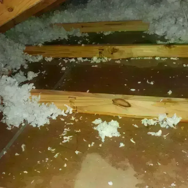 Attic Water Damage in Santa Clara County, CA