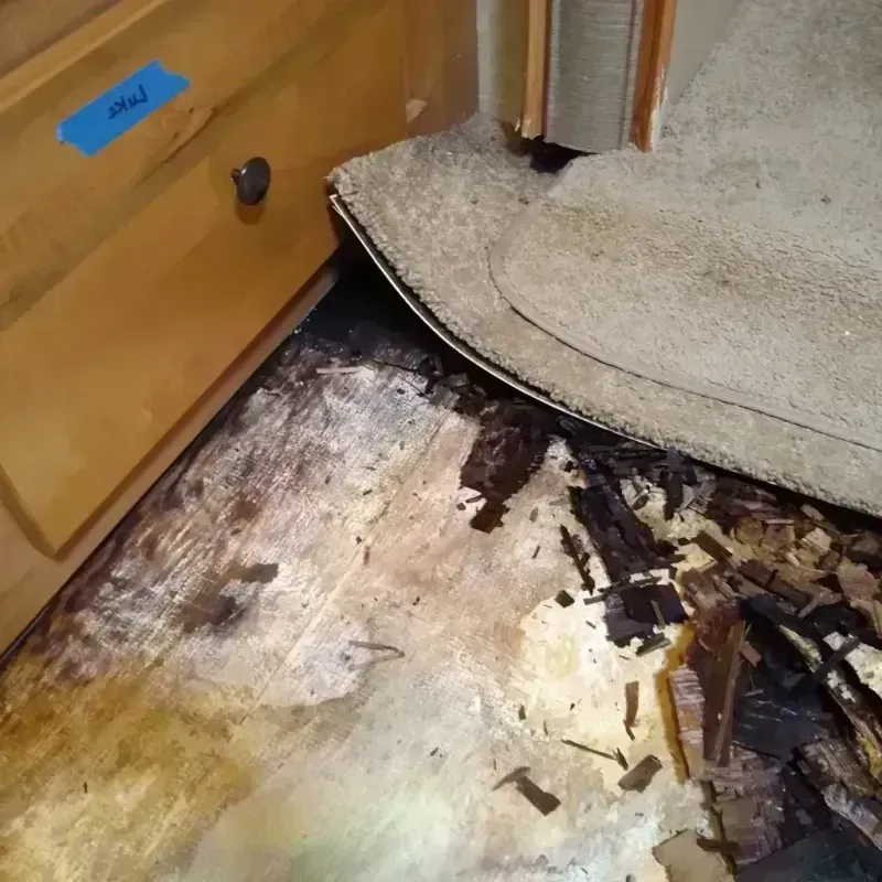 Wood Floor Water Damage in Santa Clara County, CA